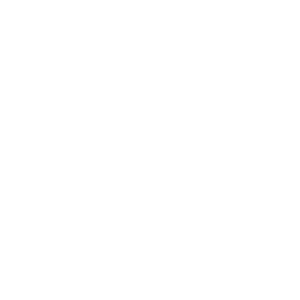 Champion Container Corp